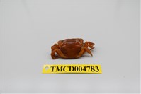藏品(絨毛近方蟹)的圖片